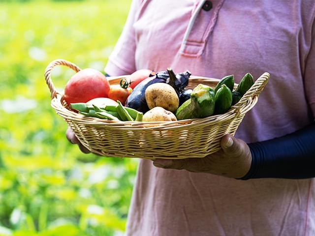 野菜